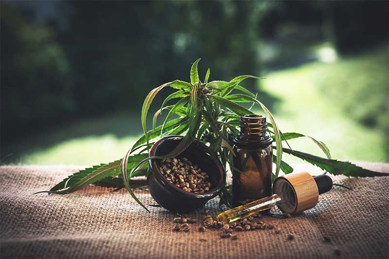 Find CBD Oil for Sale in Thailand